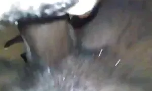 Ebony დედოფალი fucks ...
