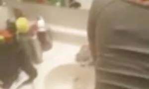 ინდოელი დესი ეშლება  ...